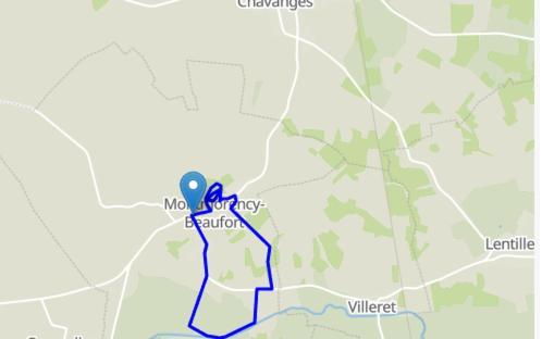 Meuble De Tourisme Le Gilliard Villa Chavanges Екстериор снимка